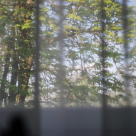 Saulys Daire Druskininkai Oda fotoğraf